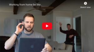 Working From Home - Funny